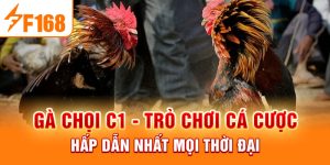 Gà Chọi C1 - Trò Chơi Cá Cược Hấp Dẫn Nhất Mọi Thời Đại