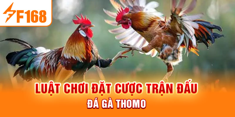 Luật chơi đặt cược trận đấu đá gà Thomo