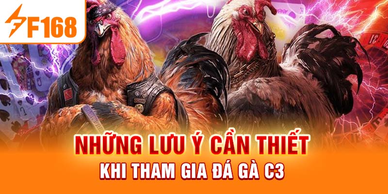 Những lưu ý cần thiết khi tham gia đá gà C3