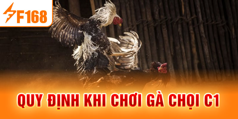 Quy định khi chơi gà chọi C1