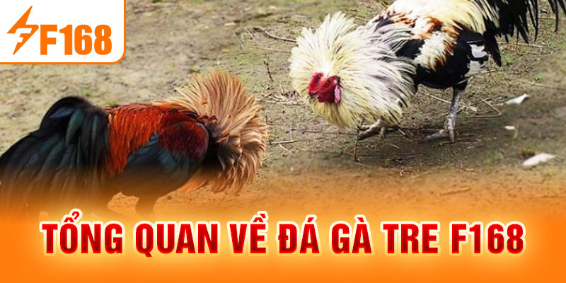 Tổng quan về đá gà tre F168