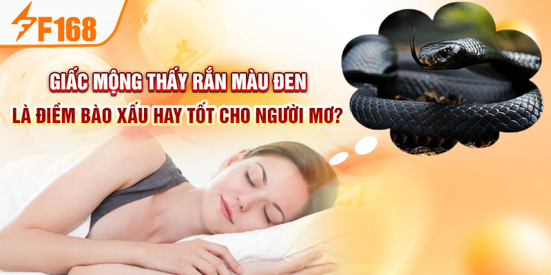 Giấc mộng thấy rắn màu đen là điềm bào xấu hay tốt cho người mơ?