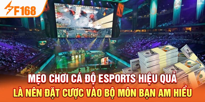 Mẹo chơi cá độ Esports hiệu quả là nên đặt cược vào bộ môn bạn am hiểu