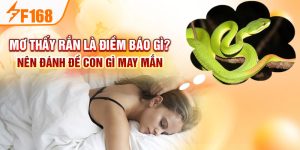 Mơ Thấy Rắn Là Điềm Báo Gì? Nên Đánh Đề Con Gì May Mắn