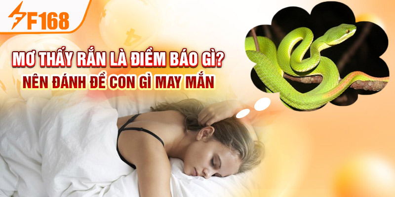 Mơ Thấy Rắn Là Điềm Báo Gì? Nên Đánh Đề Con Gì May Mắn