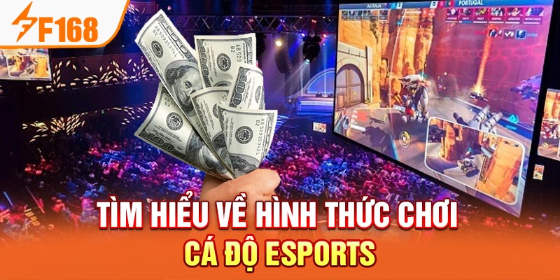 Tìm hiểu về hình thức chơi cá độ Esports